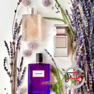 Lavender Extreme Tom Ford