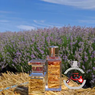 Lavender Extreme Tom Ford