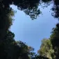 hfigures