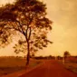 موشه رامبام