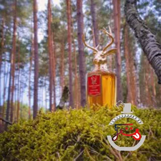 Kropp Och Själ Pana Dora