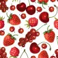 redberry11