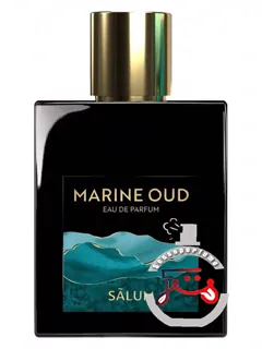 مارین اود سالوم پرفیوم | marine oud salum parfums