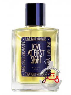 لاو ات فرست سایت اون نویی نوماد | love at first sight une nuit nomade