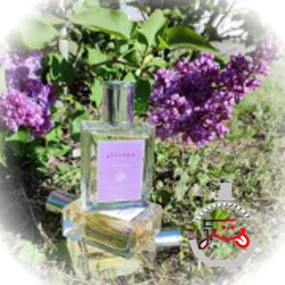 Wisteria Acca Kappa