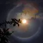 سی‌سی گورمان