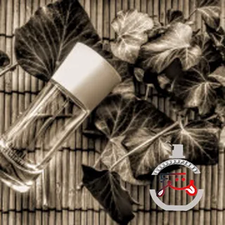 Armani Mania Giorgio Armani