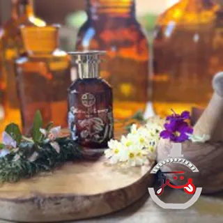 Betula Olfactive Pharmacy