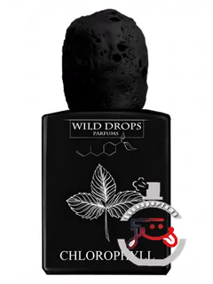 کلروفیل وایلد دراپس پرفیومز | chlorophyll wild drops parfums