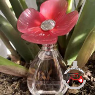 Wonderbloom Vince Camuto