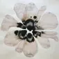 lilyoftheva1ley