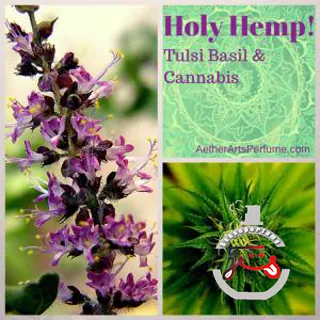 Holy Hemp Aether Arts Perfume