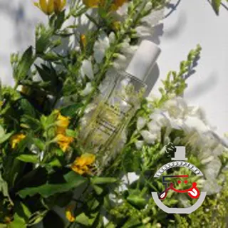 Hemlock & Bergamot Jo Malone London