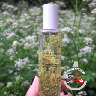 Hemlock & Bergamot Jo Malone London