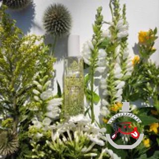 Hemlock & Bergamot Jo Malone London
