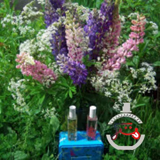 Hemlock & Bergamot Jo Malone London
