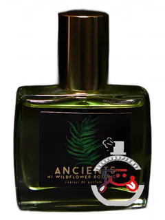 اینشنتس های وایلدفلاور باتانیکا | ancients hi wildflower botanica