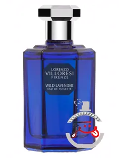 وایلد لاوندرن لورنتزو ویلورزی | wild lavender lorenzo villoresi