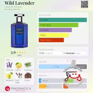 Wild Lavender Lorenzo Villoresi