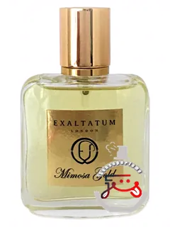 میموزا گلد اکزالتاتوم | mimosa gold exaltatum