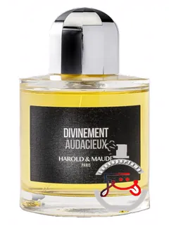 دیوان‌منشانه جرات‌مند هارولد و مود | divinement audacieux harold & maude