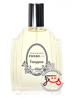 فرانژیپانی فبو | frangipani phebo