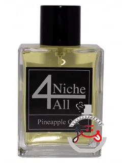 پاین‌اپل اوک نیچ‌فورآل | pineapple oak niche4all