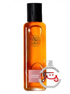 توبروزا آمبراتا ارباریو توسکانو | tuberosa ambrata erbario toscano