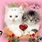 cherrypie099