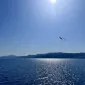 searching4sea