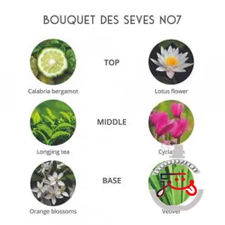 Bouquet Des Seves Parfums de Folleville