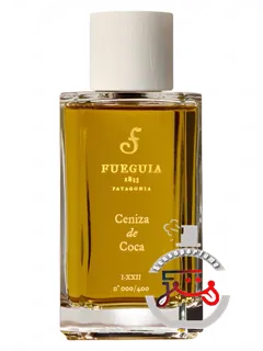 سنیزا د کوکا فوگیا ۱۸۳۳ | ceniza de coca fueguia 1833