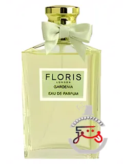 گاردنیا فلوریس | gardenia floris