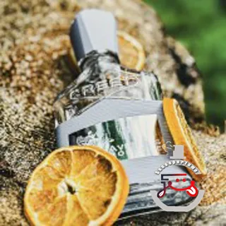 Aventus Cologne Creed