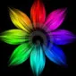 dj71