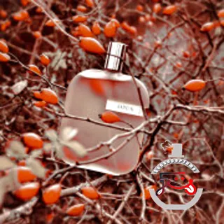 The Library Collection Opus I Amouage