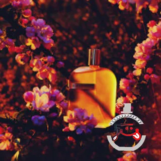 The Library Collection Opus I Amouage