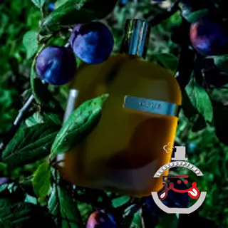 The Library Collection Opus I Amouage