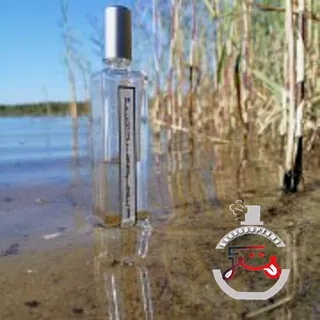 L'Eau Froide Serge Lutens