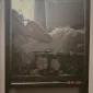 alxndra1998