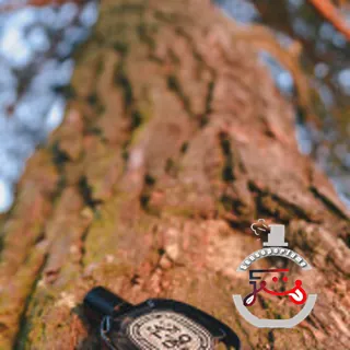 Tam Dao Eau de Parfum Diptyque