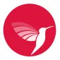 فراگرانتیکا تیم
