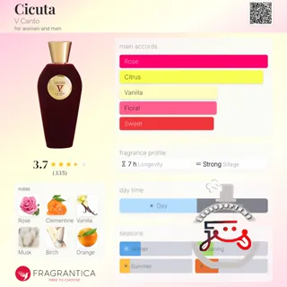 Cicuta V Canto