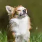 ElleZ