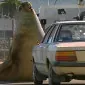saltyseal