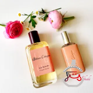 Iris Rebelle Atelier Cologne
