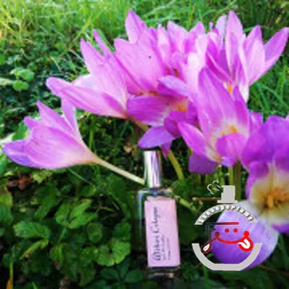 Iris Rebelle Atelier Cologne