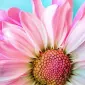 nataliakierz