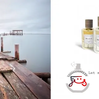 Mosquito Comporta Perfumes