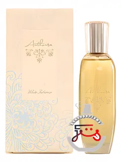 وایت توبروس آنتوسا | white tuberose anthousa